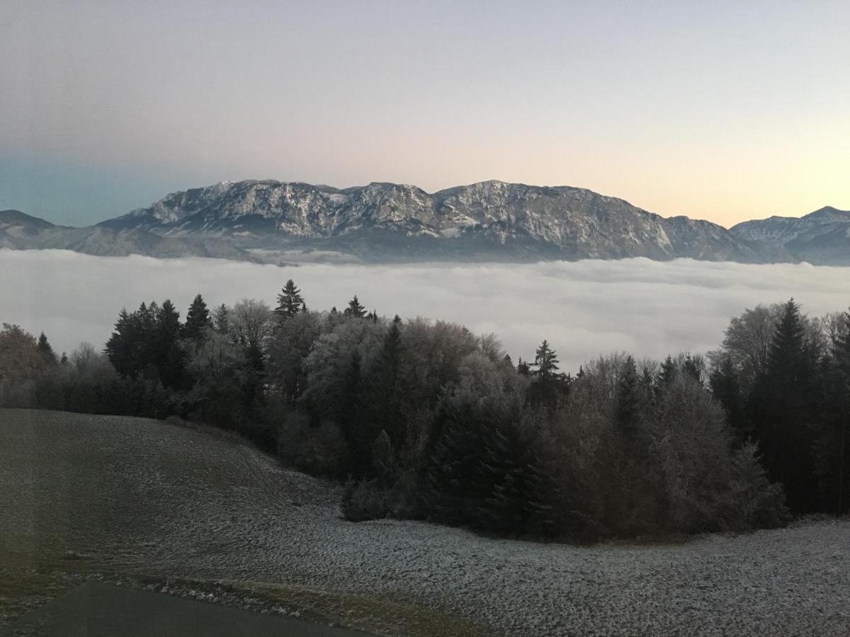 Attersee Luxury Design Villa With Dream Views, Large Pool And Sauna 阿特湖畔的努斯多夫 外观 照片